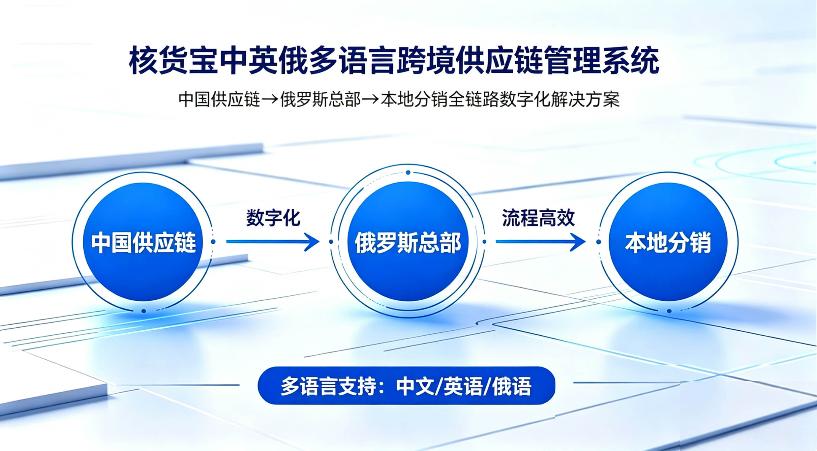 俄罗斯供应链管理系统